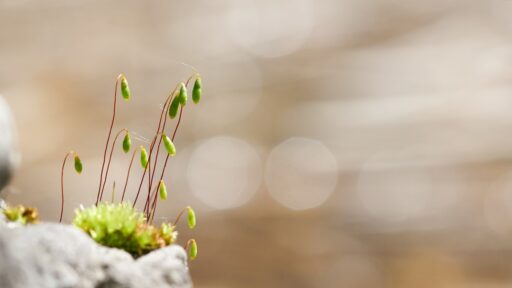 Person looking at a whiteboard with different areas of improvement listed.